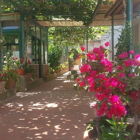 Villa Dei Fiori B&B Capri Exterior foto
